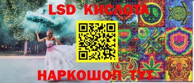 крисы Кинель