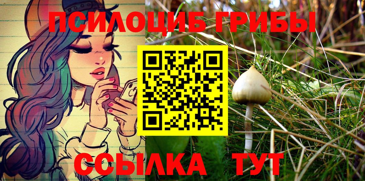 Костомукша  Псилоцибиновые грибы Psilocybine cubensis  Вход с VPN 
