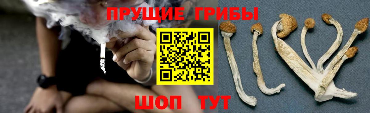 Псилоцибиновые грибы GOLDEN TEACHER Костомукша
